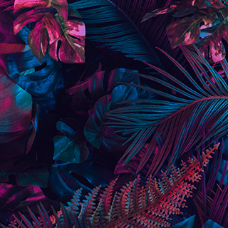 Chillhop